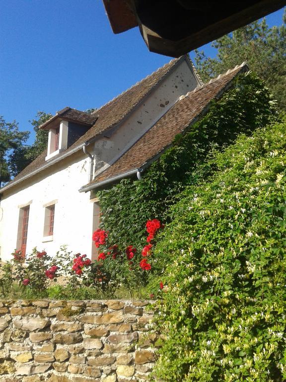 Gite De Serre Le Grand-Pressigny エクステリア 写真